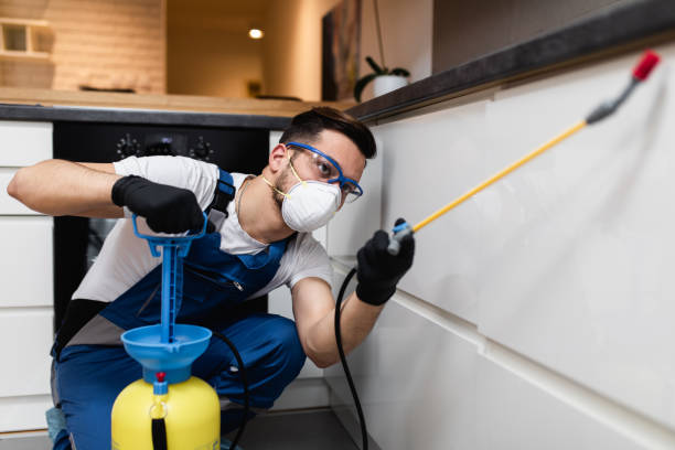 Best Pest Control Near Me  in Cedar Grove, WI