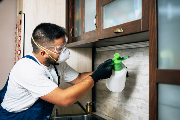 Best Pest Control Treatment  in Cedar Grove, WI