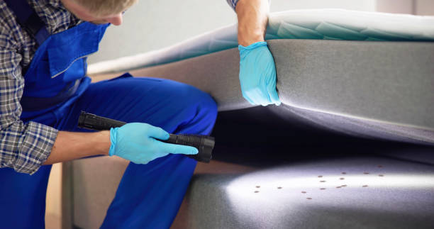 Best Pest Control Near Me in Cedar Grove, WI